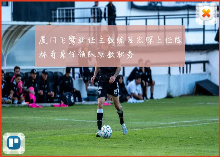 厦门飞鹭新任主教练吕宏琛上任陈林奇兼任领队助教职务