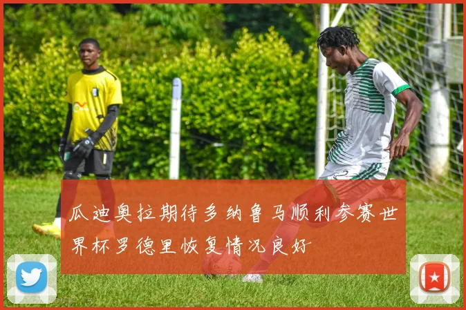 瓜迪奥拉期待多纳鲁马顺利参赛世界杯罗德里恢复情况良好
